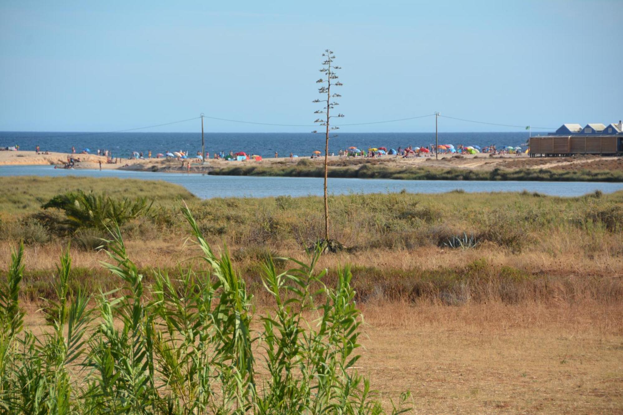 Praia Dria Armação de Pêra Dış mekan fotoğraf